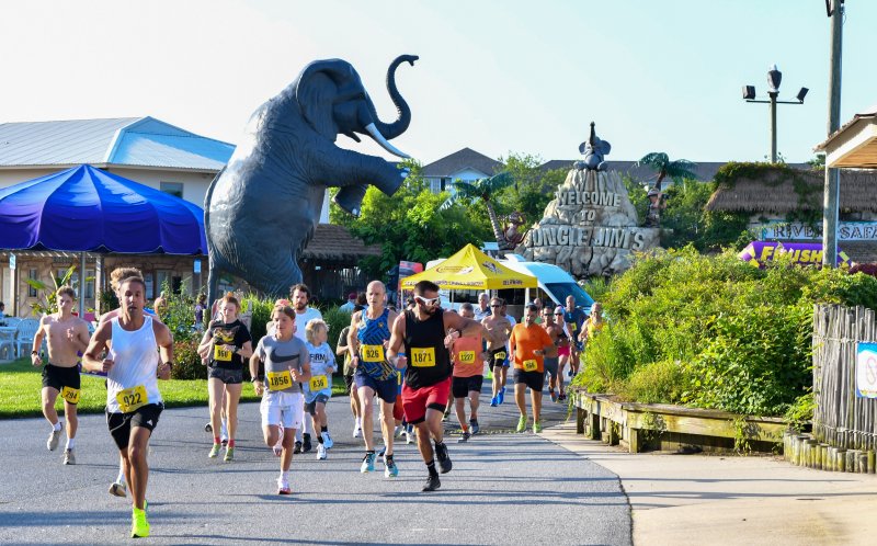 Jungle Jim's team and community